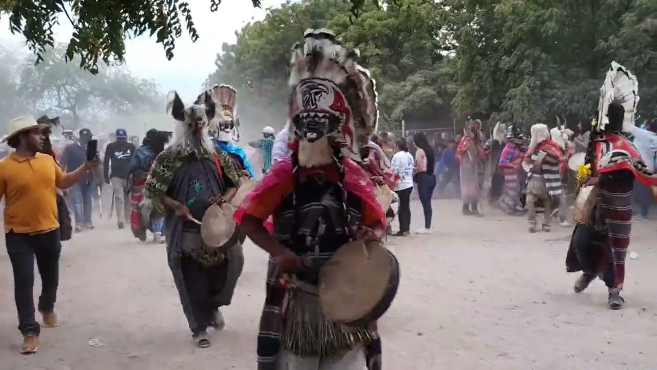 Jueves santo en el Buaraje semana santa 2025 corrida del burro