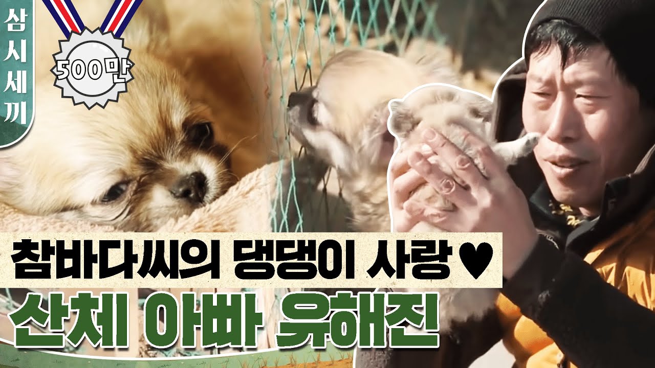 [#삼시세끼] 앰뷸런스 좀 불러주세요... 산체를 보고 심장마비 발생이 속출하고 있... 뚜- 뚜- | #Diggle