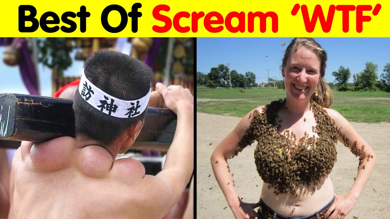 The Best Of Things That Will Make You Scream 