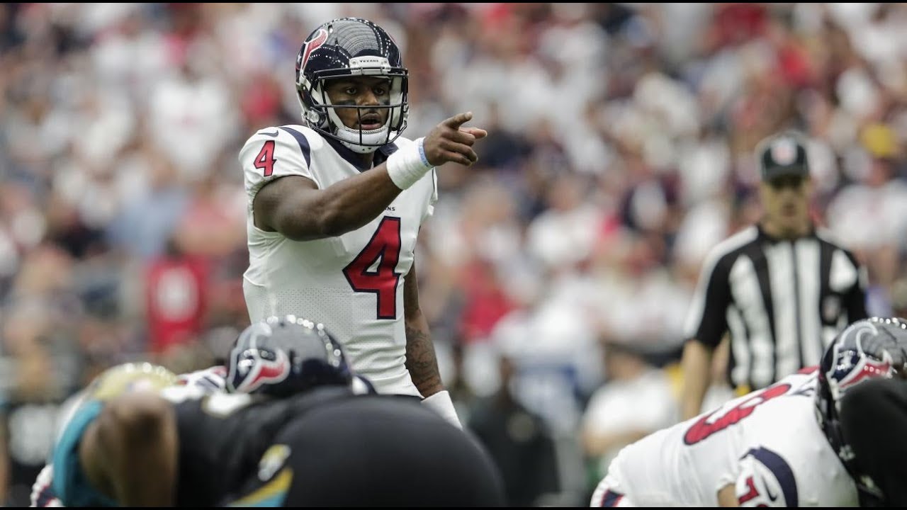 Deshaun Watson Rookie Season Highlights