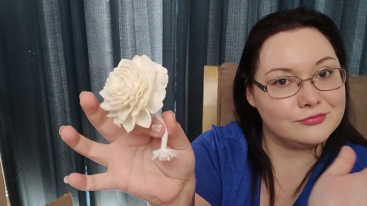 Unboxing the Scentsy Reinstatement kit Fall/Winter 2024