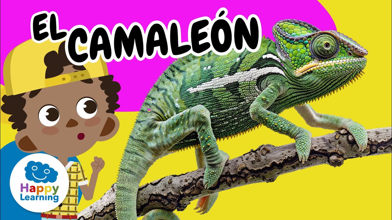 🦎 CAMALEÓN: ¿Por qué CAMBIA de COLOR? | Vídeos Educativos para Niños de PRIMARIA |@Happy Learning Español