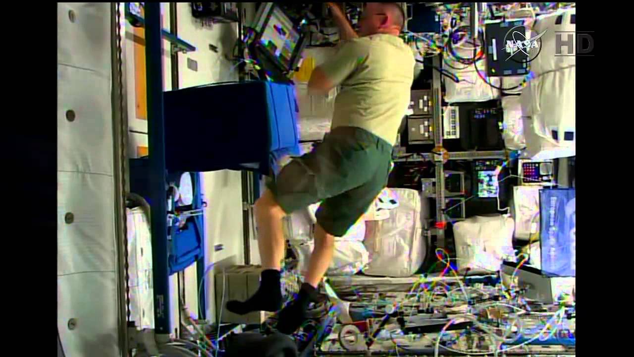Space Station Live: Immunity in Microgravity