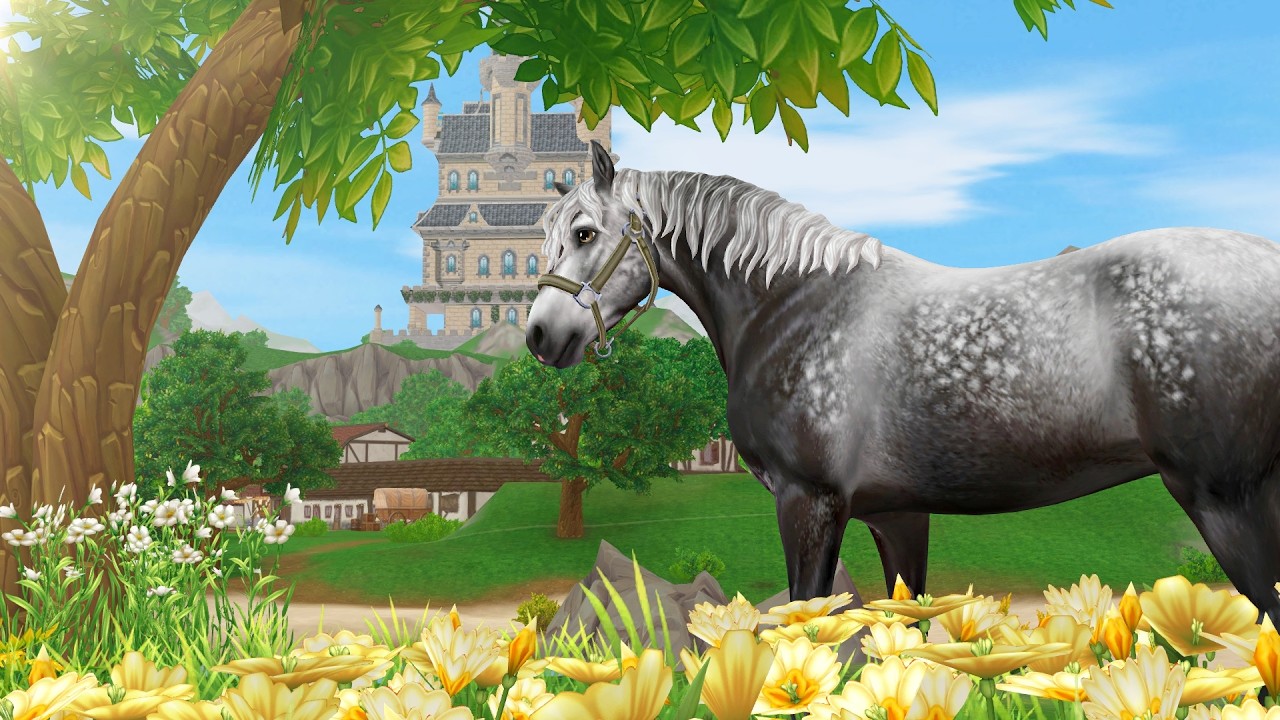 Köper connemara - Star Stable Online