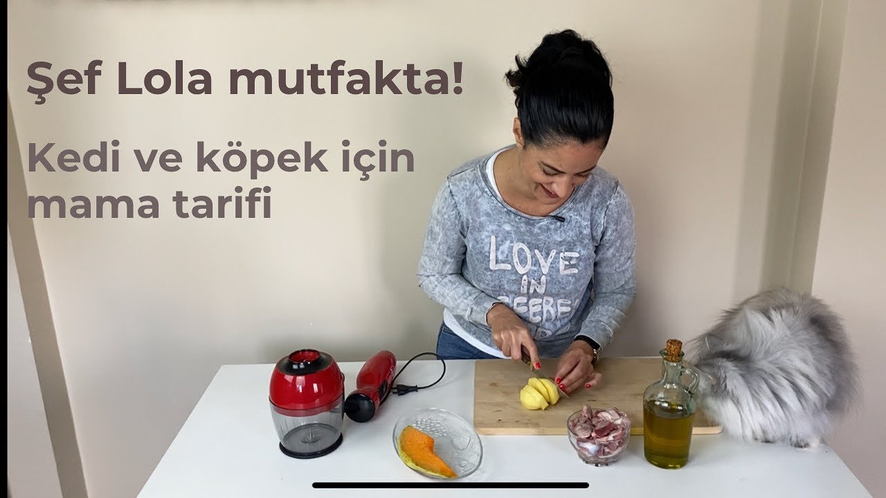 Kediler ve köpekler için evde kolayca yapılacak hem sağlıklı hem de çok lezzetli mama tarifi, diy