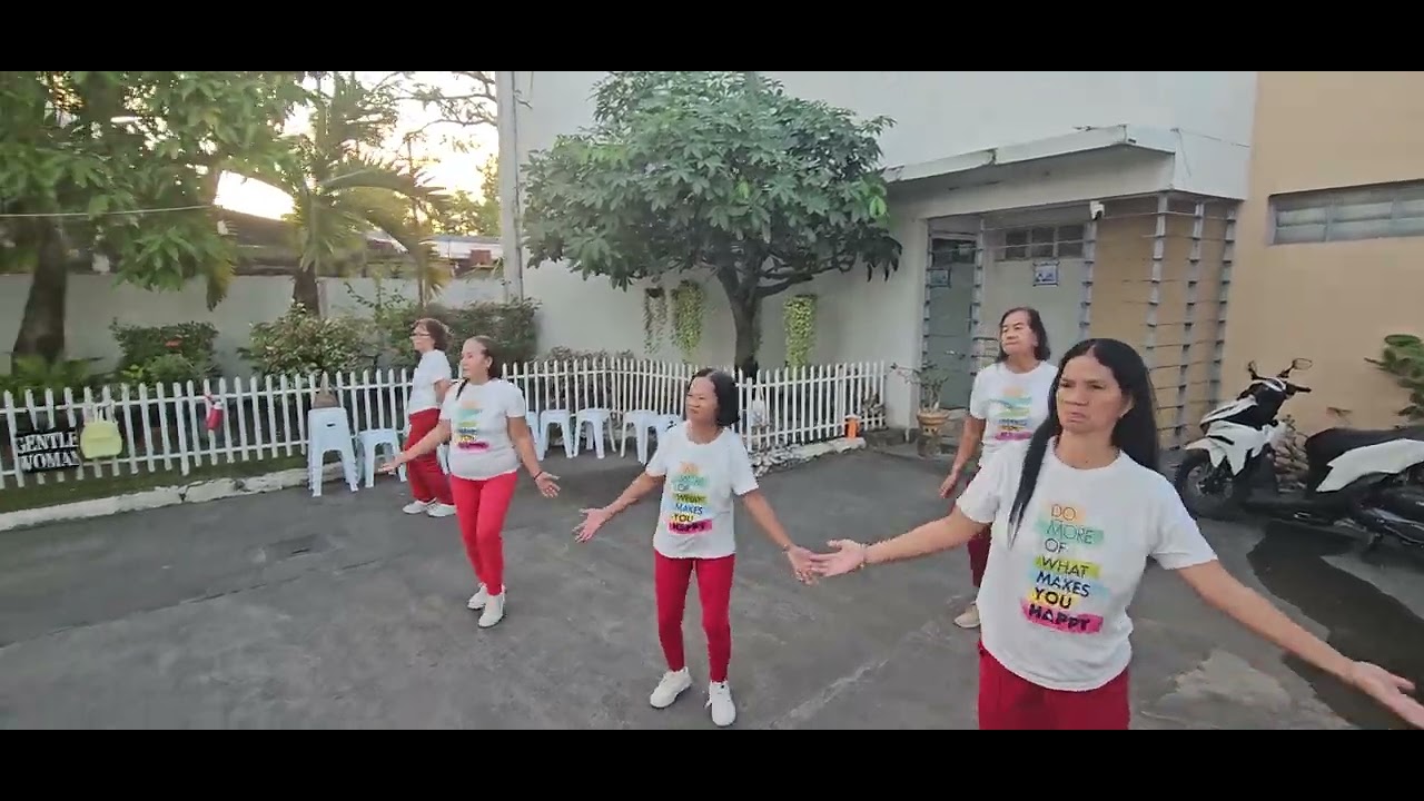 Malasin zumba ladies
