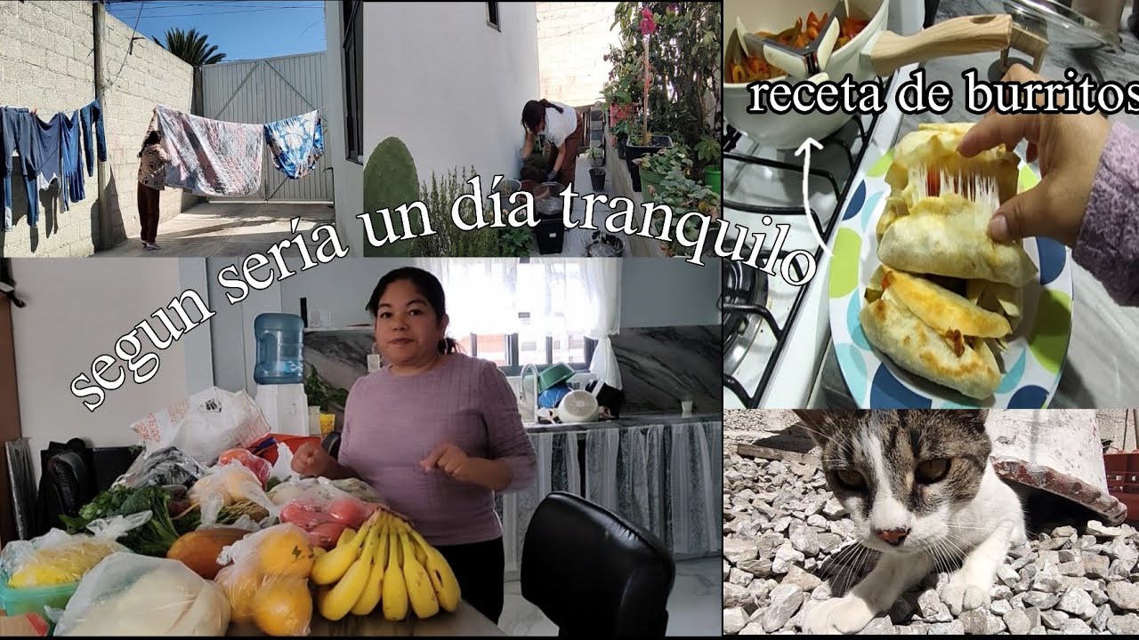 De tranquilo no tuvo nada 😬 mucho por hacer/ receta de burritos 🌯