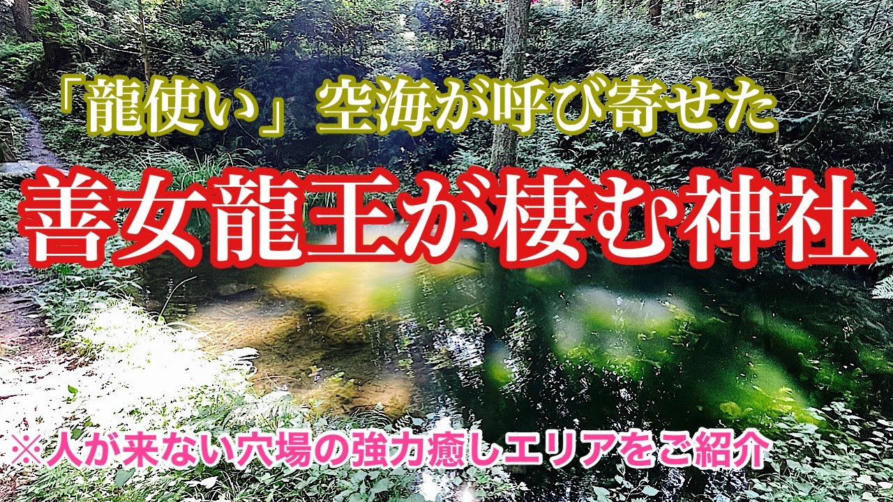【龍使い】弘法大師空海がインドから呼び寄せた龍神様が棲む神社【善女龍神社・雷電神社】＠パワー神社仏閣巡り＃43