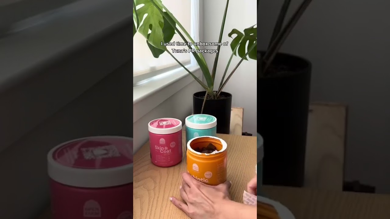 Dog influencer - Day in the life #dogs #shorts #vlog #dayinthelife #newyork