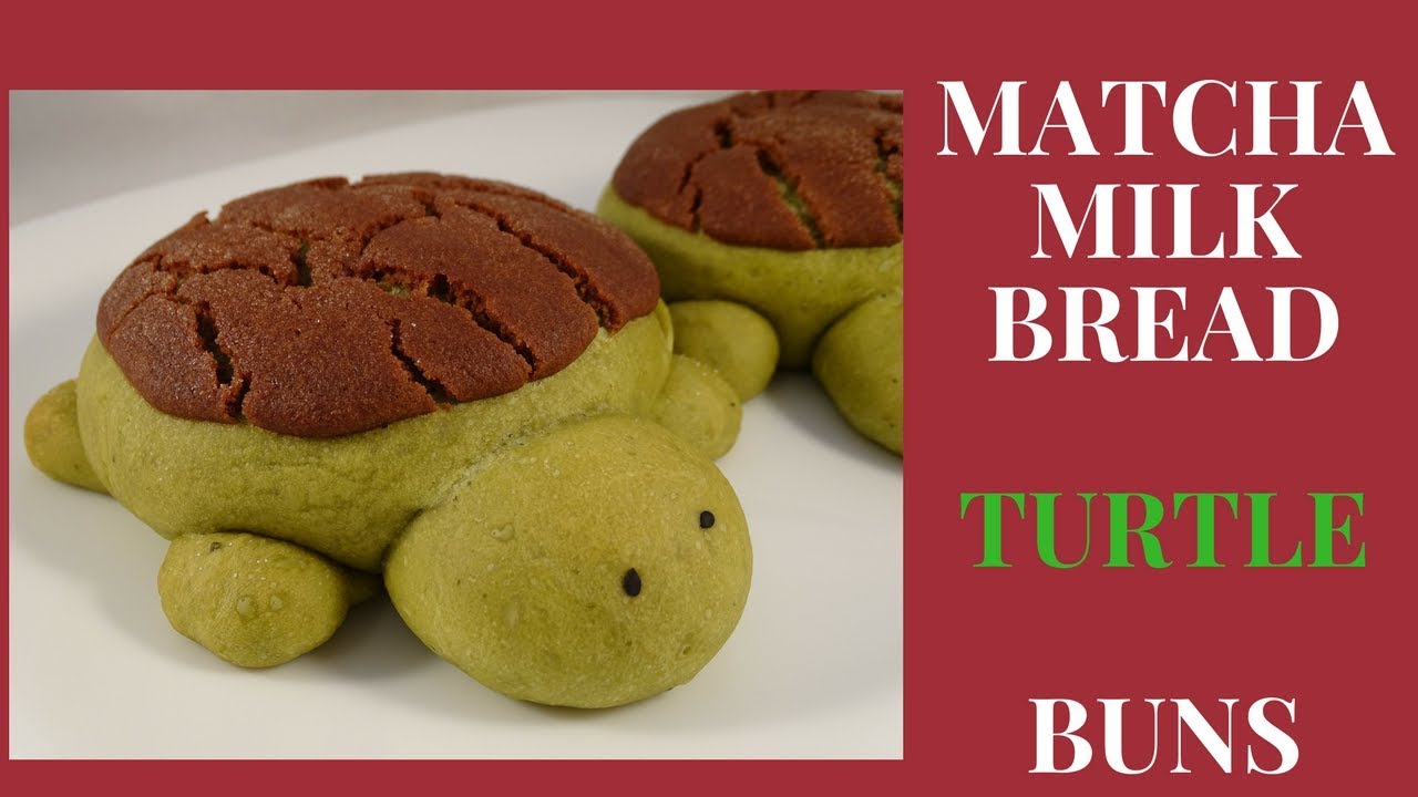 Matcha Milk Bread Turtle Buns