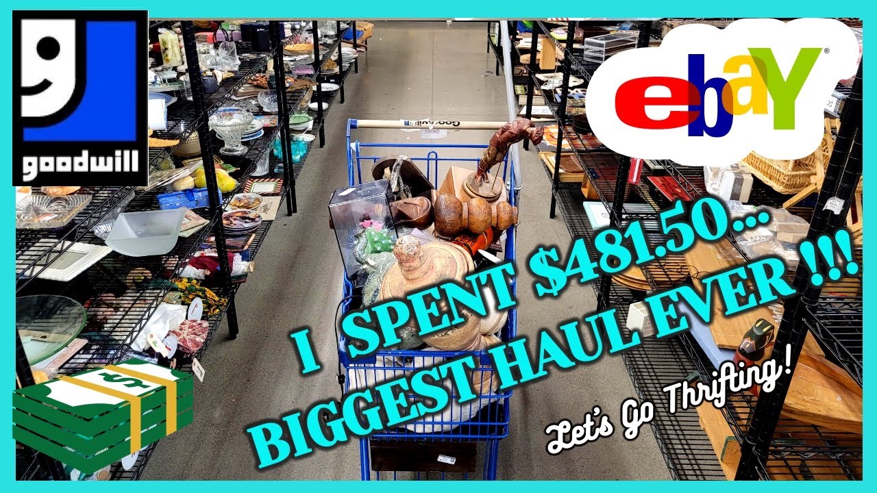 My BIGGEST GOODWILL HAUL EVER! The CART OVERFLOWED!  / Thrift With Me / Buy My HAUL / PUPS GO HIKING
