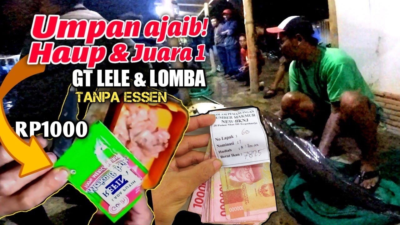 Racikan terbaru murah bikin juara | umpan ikan lele ampuh galatama dan lomba