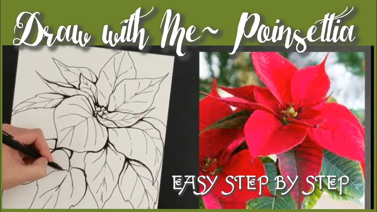 Easy Draw with Me Poinsettia!