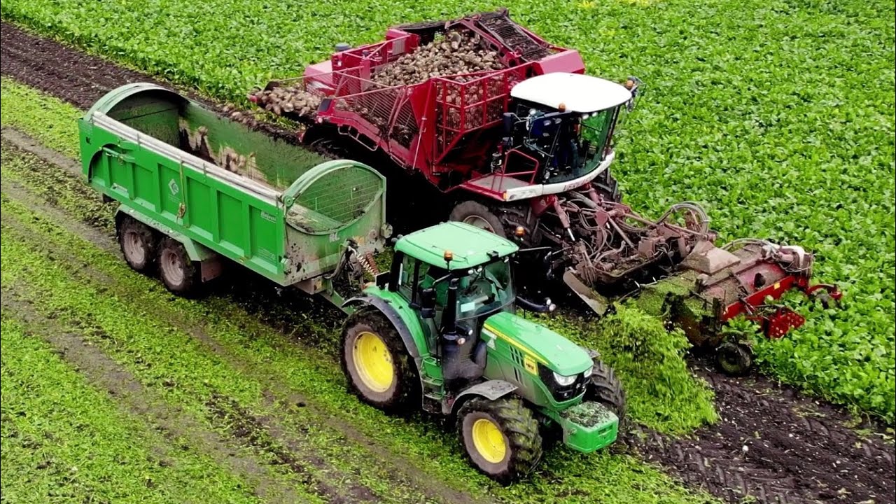 VF Veraet 617 Sugar Beet Harvester