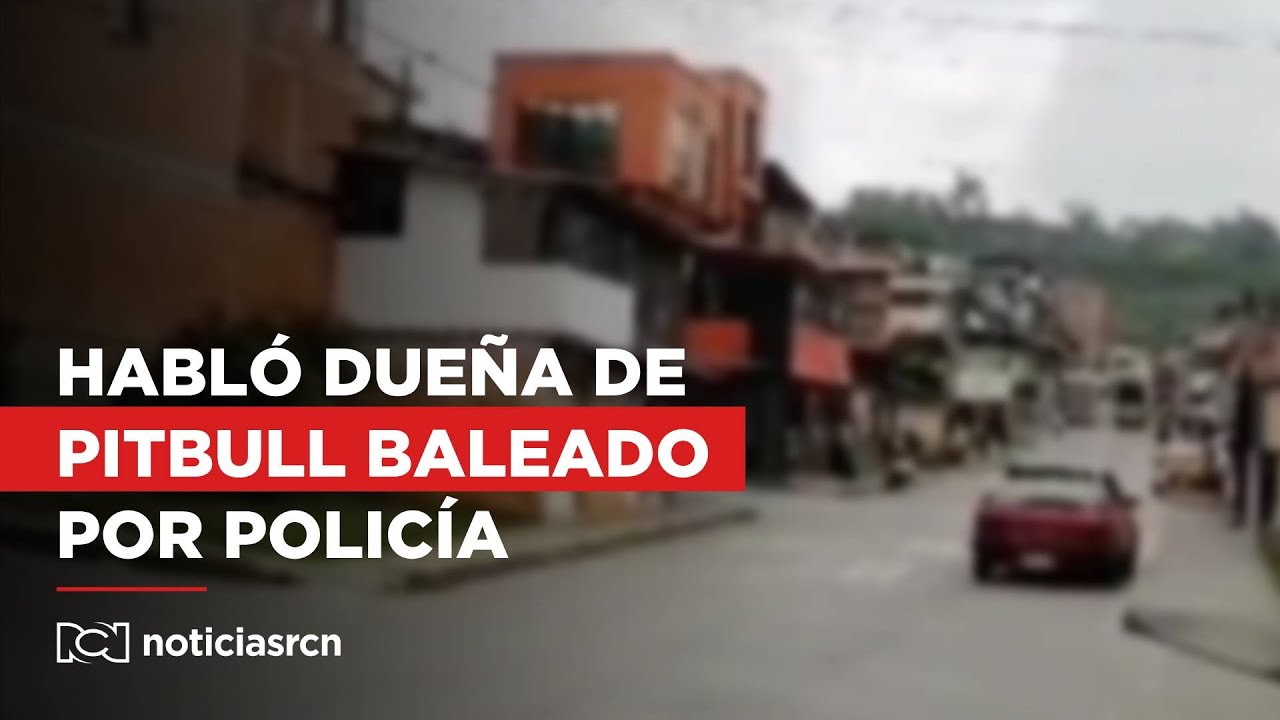 Habló dueña del pitbull baleado por la Policía en Manizales: 