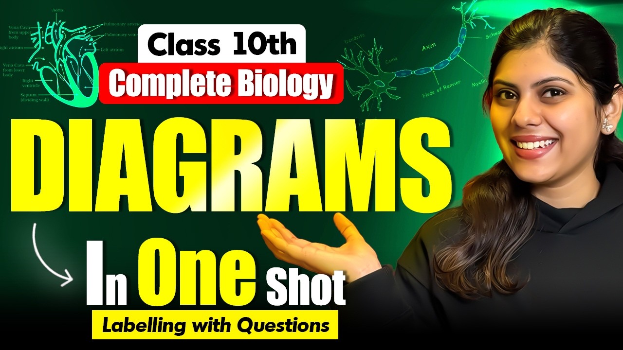 Class 10th All Biology Diagrams in One Shot 🔥 | Final Boards Revision