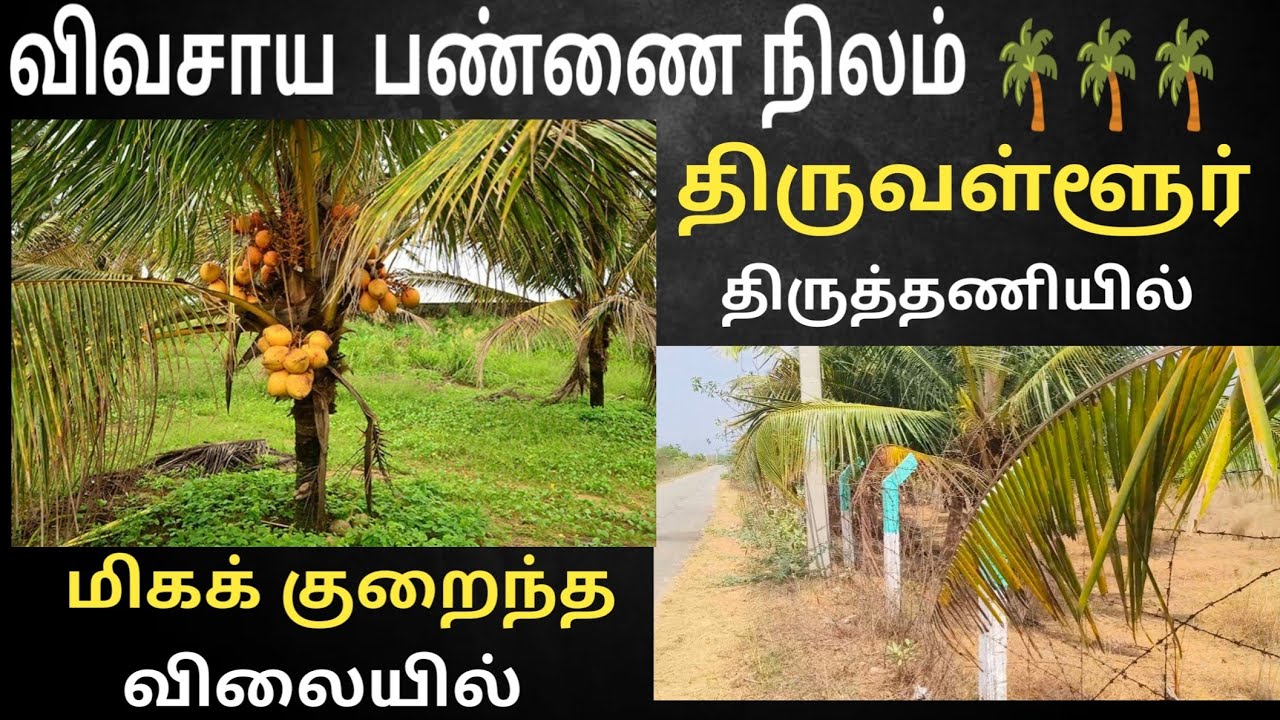 மிக மிகக் குறைந்த விலையில் திருவள்ளூர் மாவட்டம் திருத்தணியில் பண்ணை நிலம் #viralvideos #farming