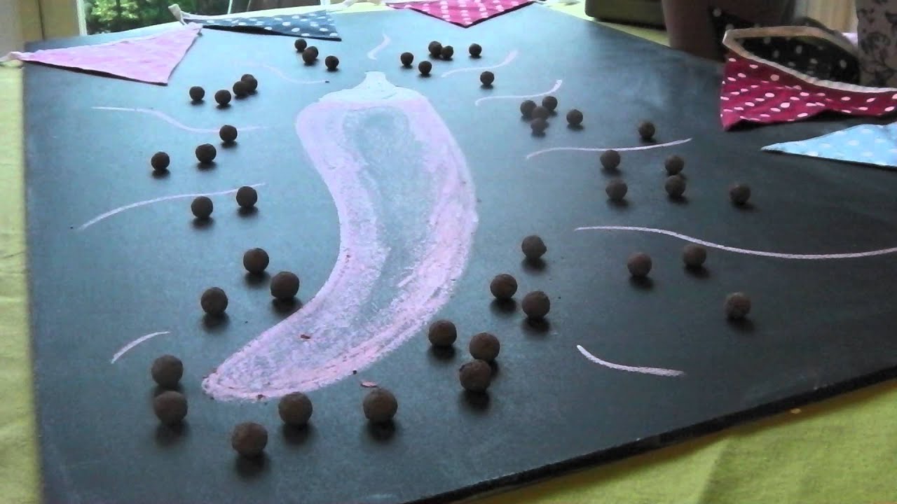Seedball Seed Bombs