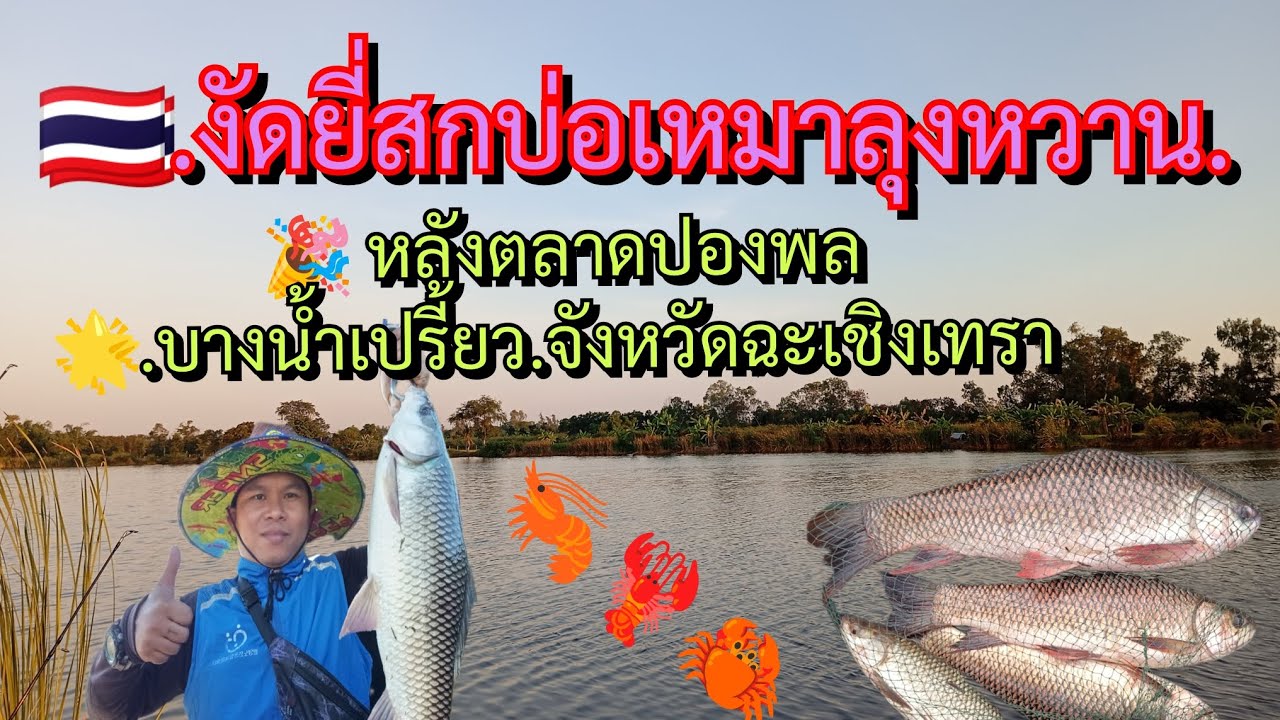 🇹🇭 EP 63 งัดยี่สกบ่อเหมาลุงหวาน.หลังตลาดปองพล.บางน้ำเปรี้ยว.จังหวัดฉะเชิงเทรา.🌟🌟🌟