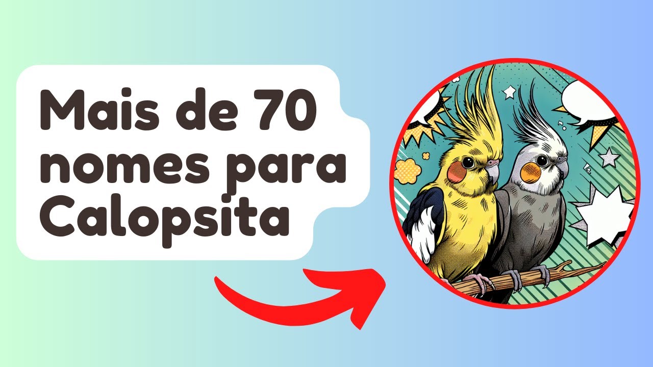 Mais  de 70 Nomes para Calopsita