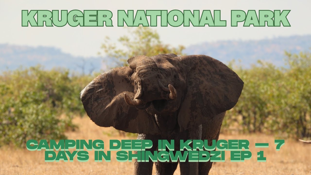Camping Deep in the Kruger National Park – 7 Days in Shingwedzi Ep 1
