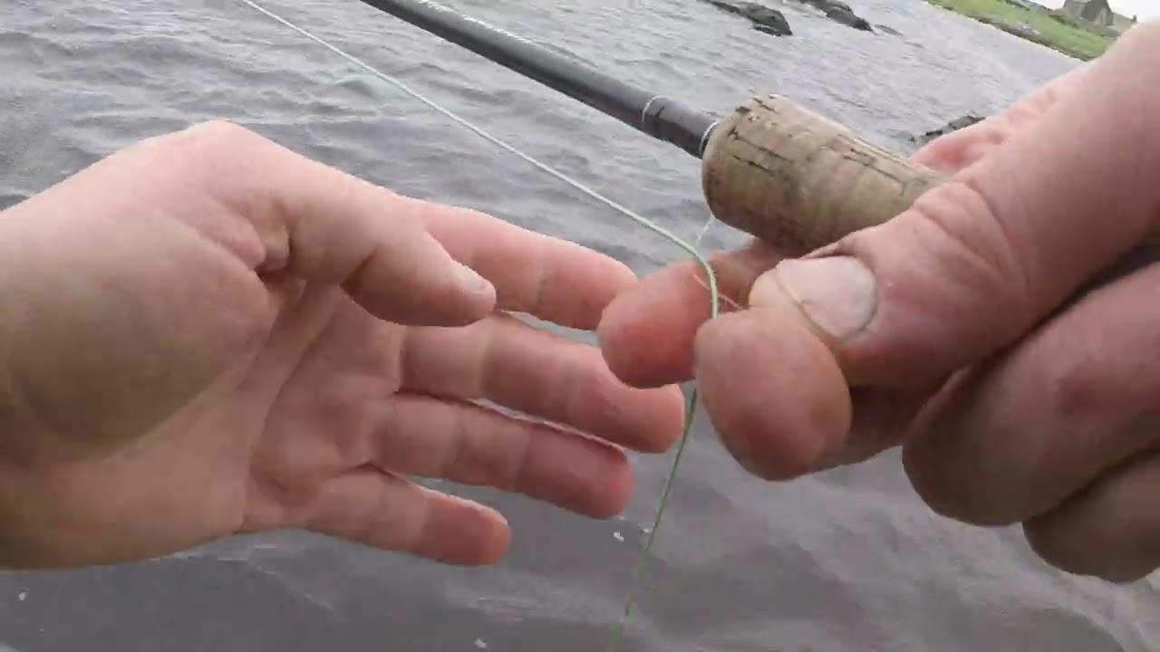 Wild Brown Trout - South Uist (very enthusiastic fish)