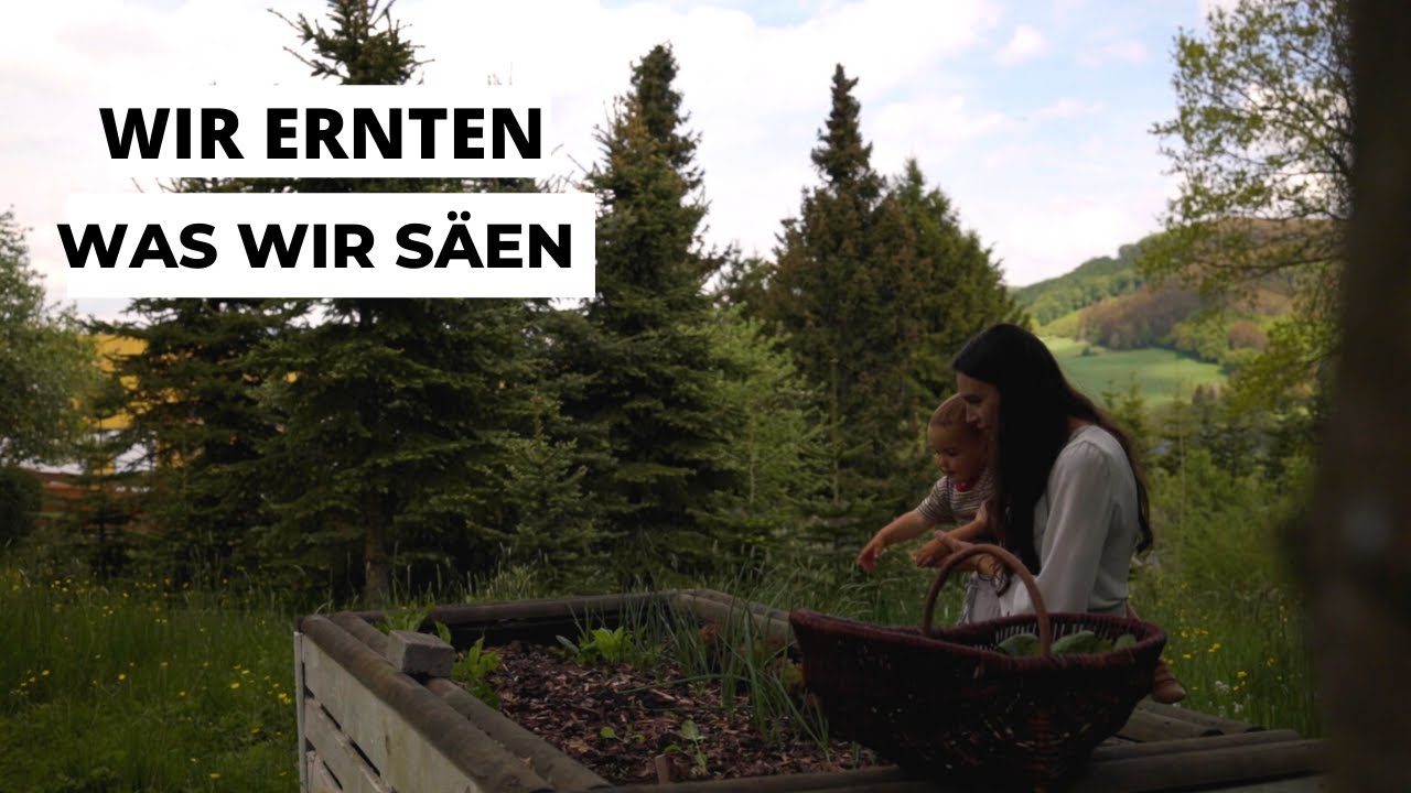 Warum es so wichtig ist seine Familienwerte zu kennen I Gärtnern mit Kind I Familienvlog #5
