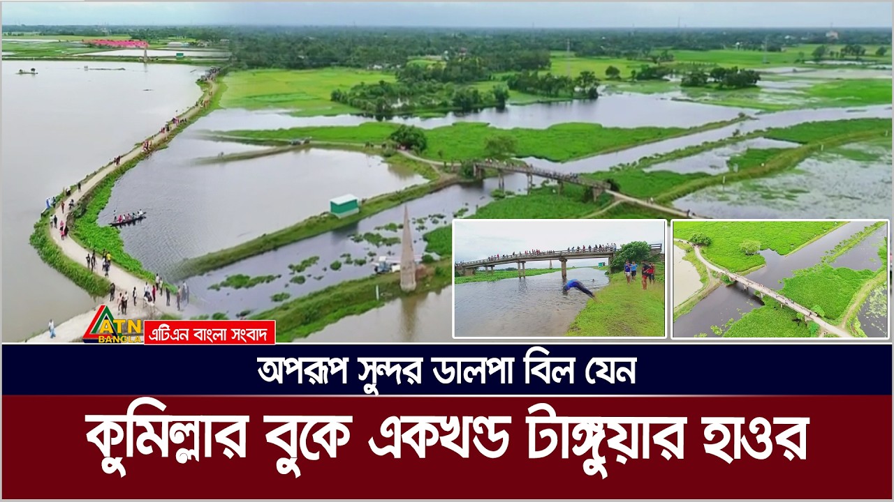 অপরূপ সুন্দর ডালপা বিল যেন কুমিল্লার বুকে একখন্ড টাঙ্গুয়ার হাওর। Dalpa Bil | Dalpa | Comilla Bil