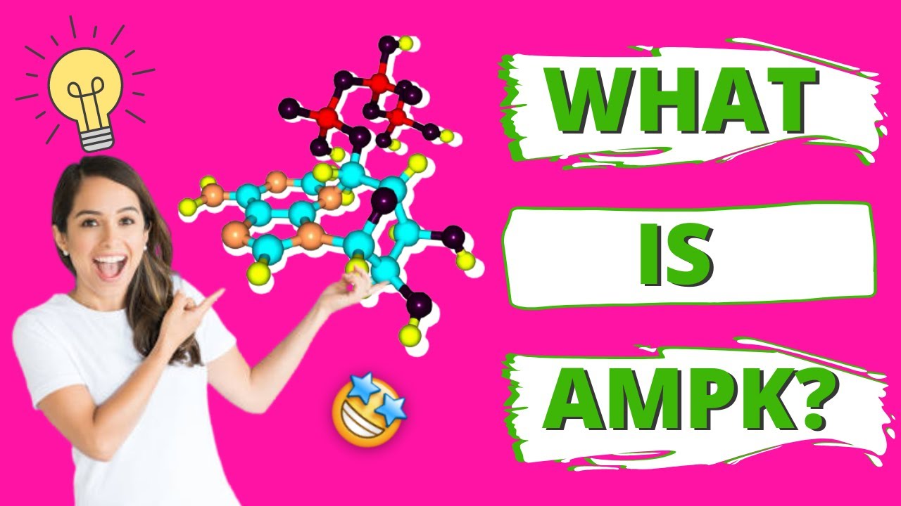 How Does Activated AMPK Burn Fat?