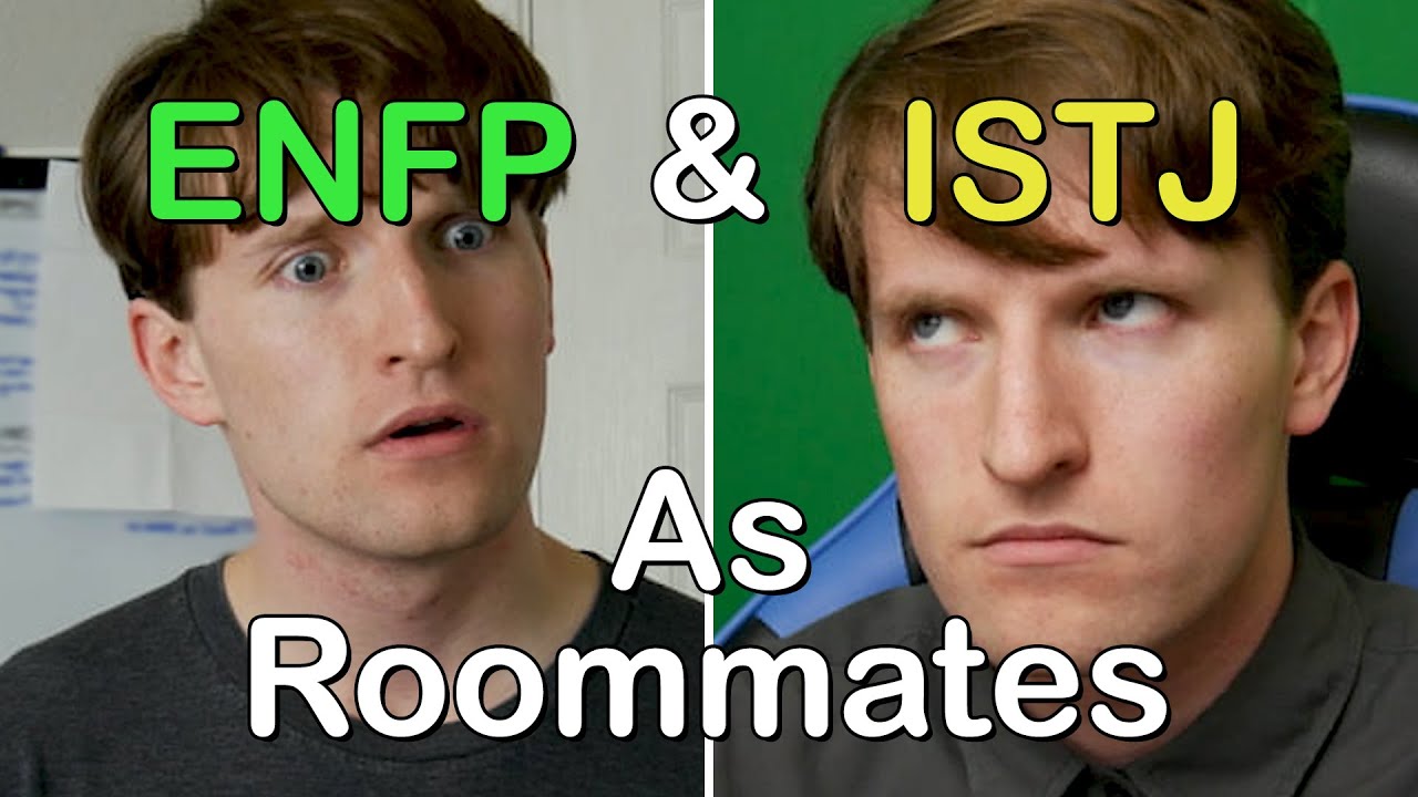 ENFP и ISTJ как соседи по комнате