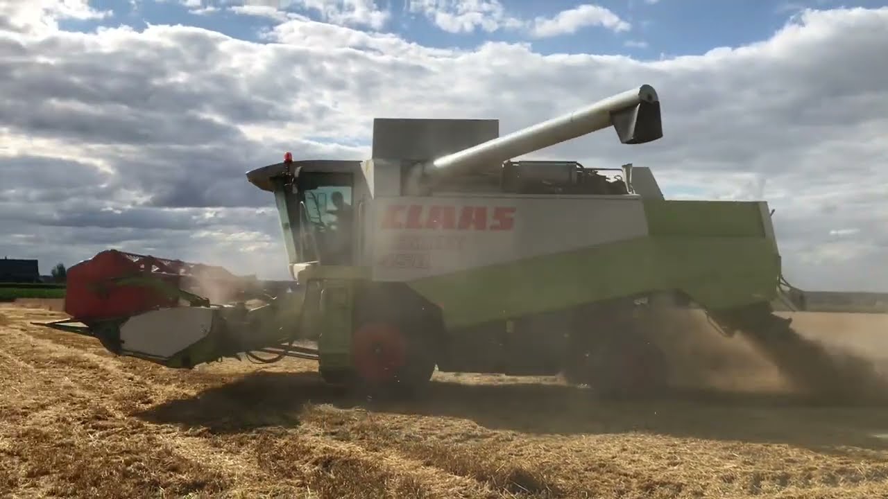 Żniwa 2022 - Claas Lexion 450