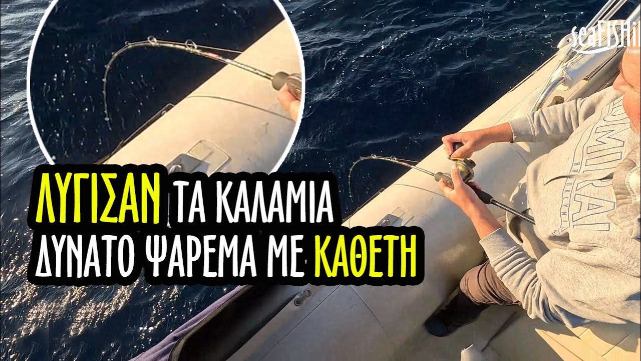 Λύγισαν τα καλάμια !!! Ενα δυνατό ψάρεμα με καθετή