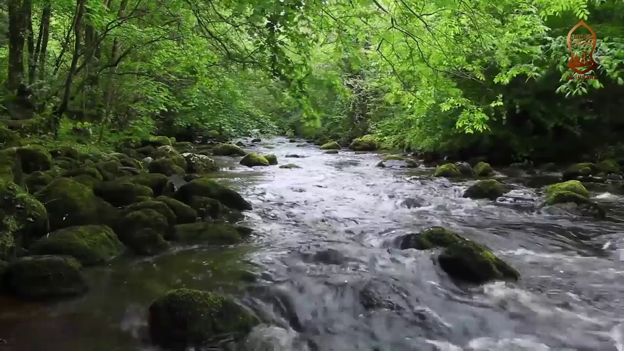 IMAM HASSAN AL BASRI PART 6 | SHEIKH ABOUD MOHAMMAD