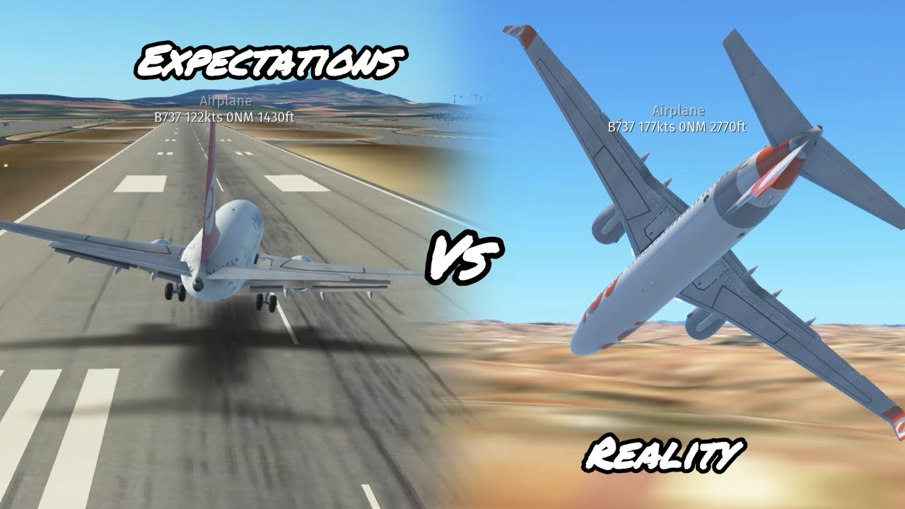 Infinite flight expectations vs reality 