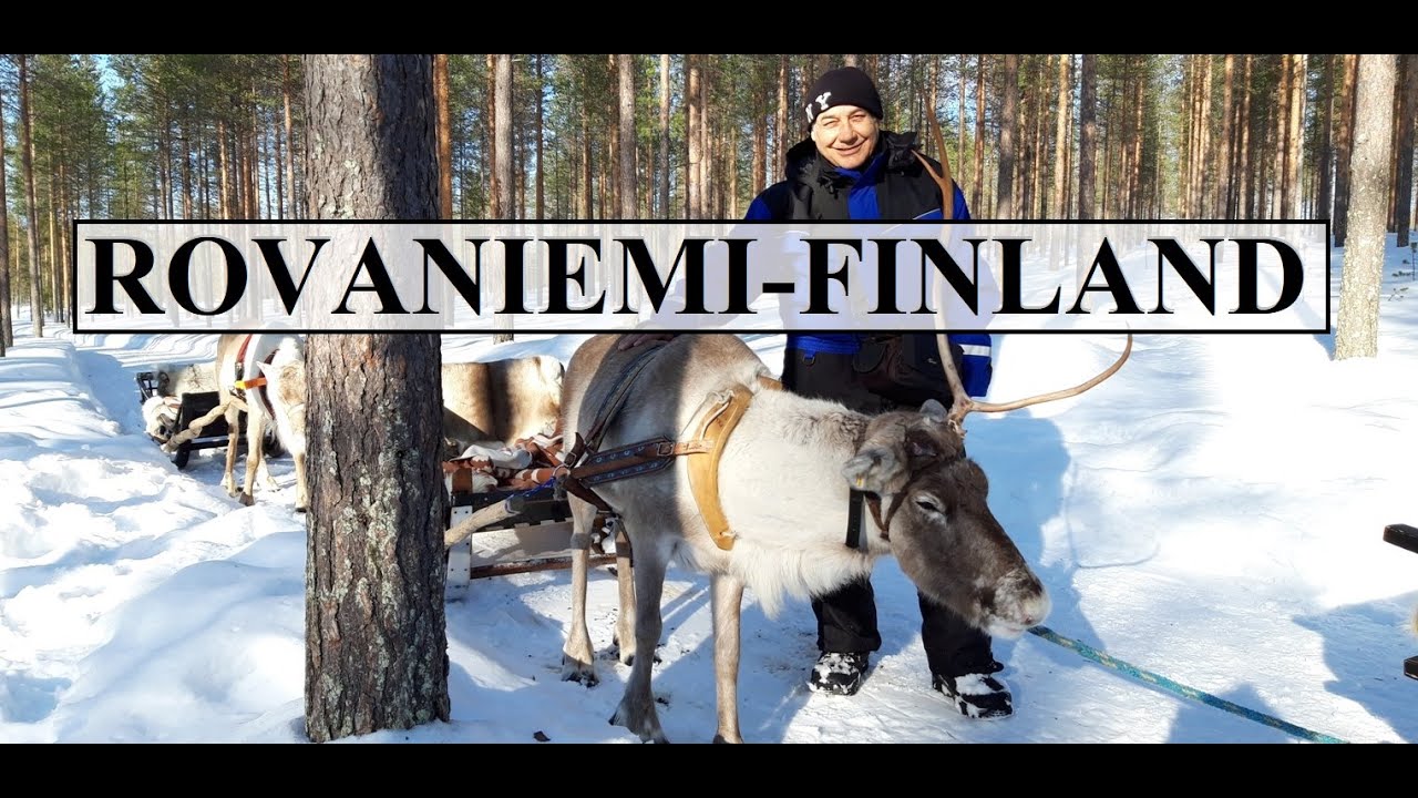 Finland/Reindeer  Sleigh Ride in Rovaniemi Part 16