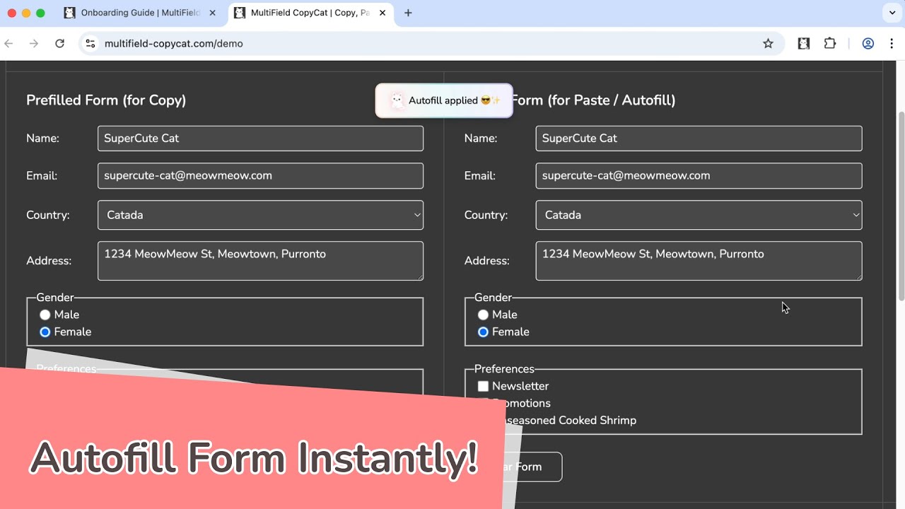 How to Autofill Forms Instantly with Chrome Extension | MultiField CopyCat