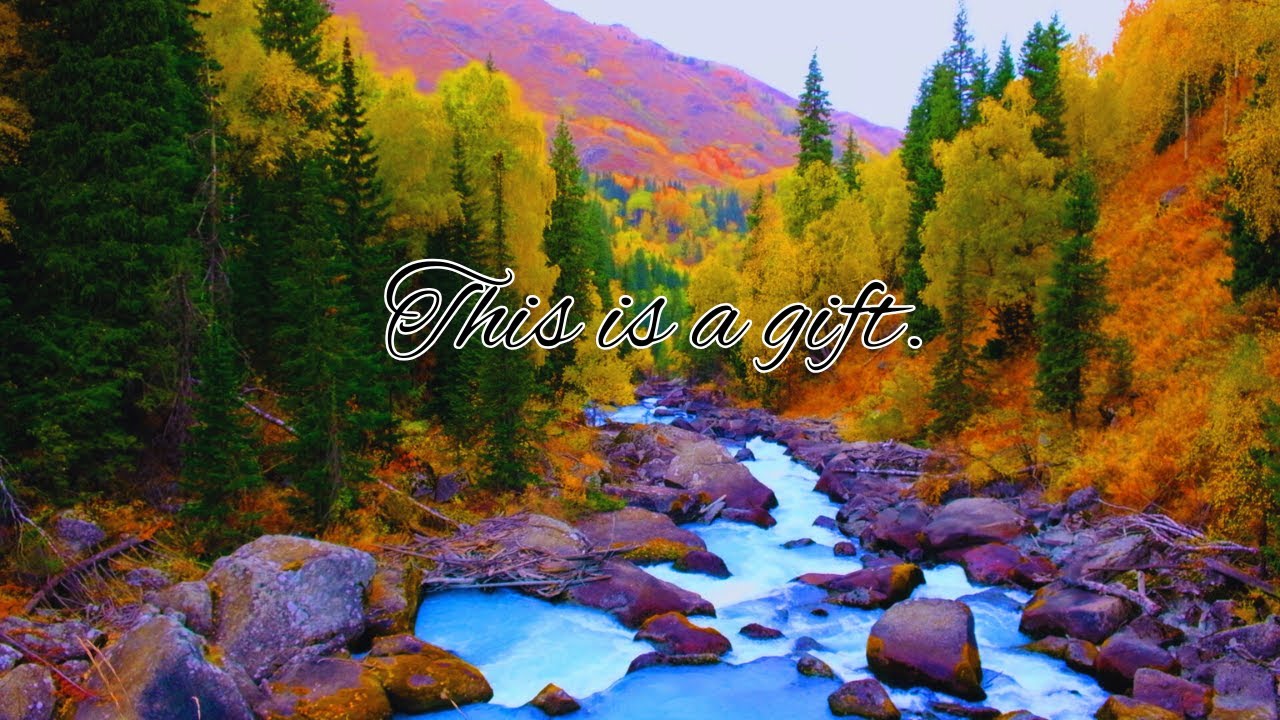 Nature Ambience: Peaceful Mountain Creek: Rushing Water, Gentle Rain Sounds for Sleep, Study, Focus.