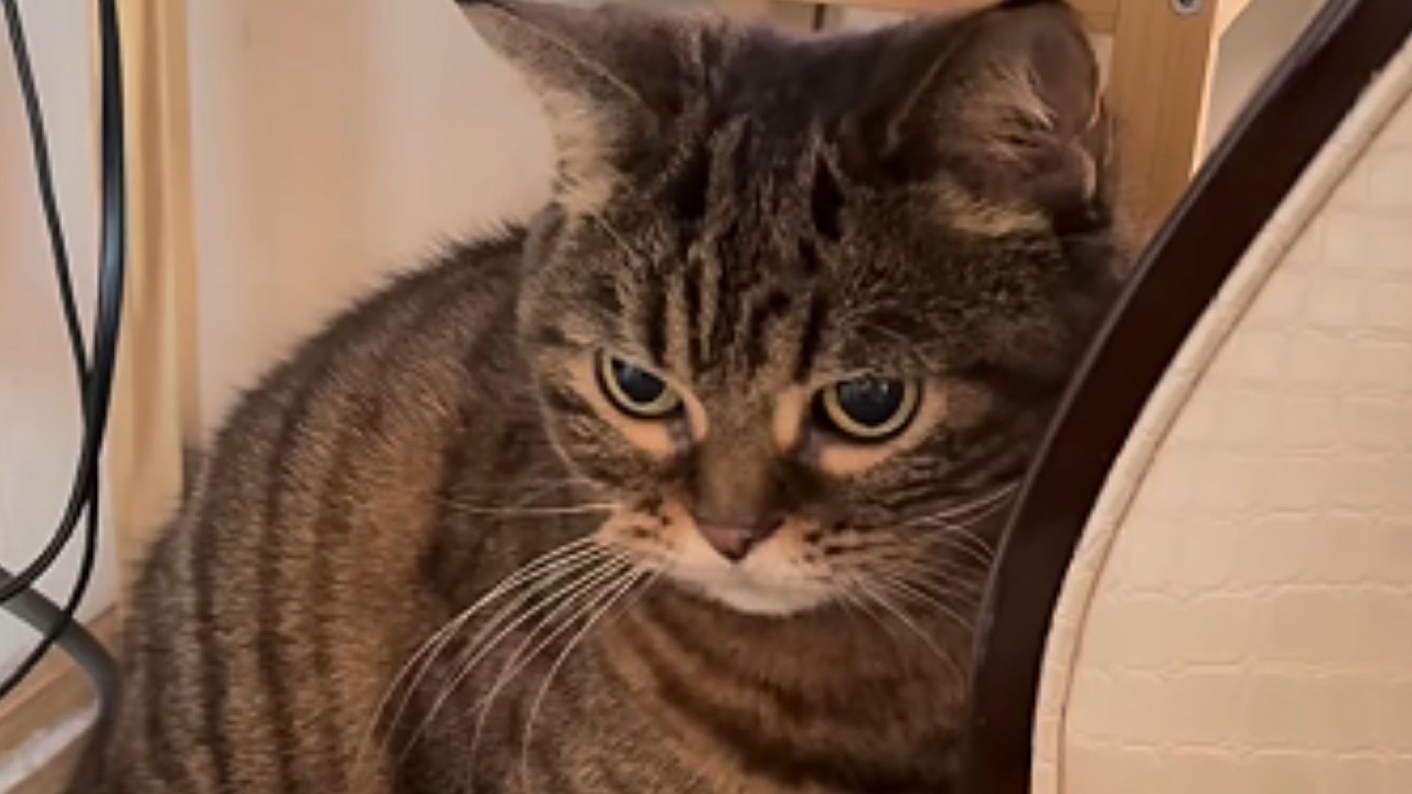 He Spent 8 Months in a Shelter Attacking Everyone—Then She Did This