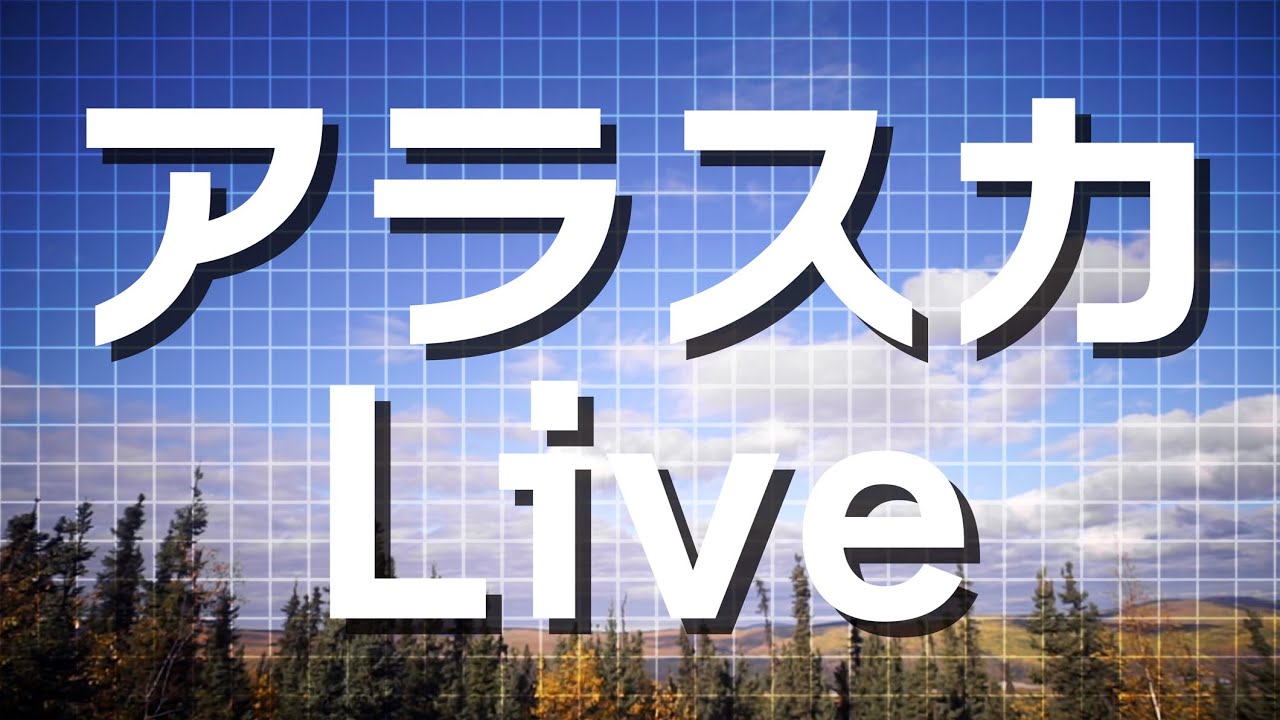 【LIVE】アラスカの紅葉ライブカメラ_2023年9月26日(火)