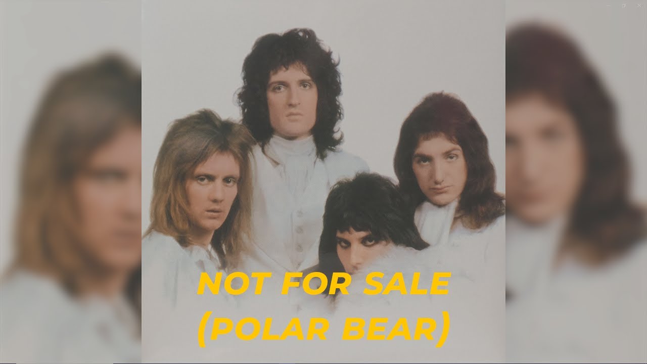 Queen - Not For Sale (Polar Bear) // Sub Español