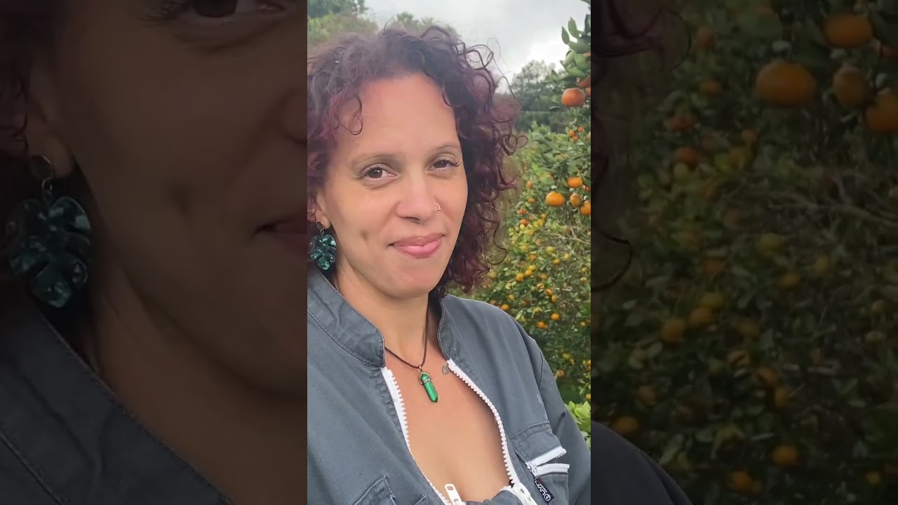 Les agrumes à la Réunion