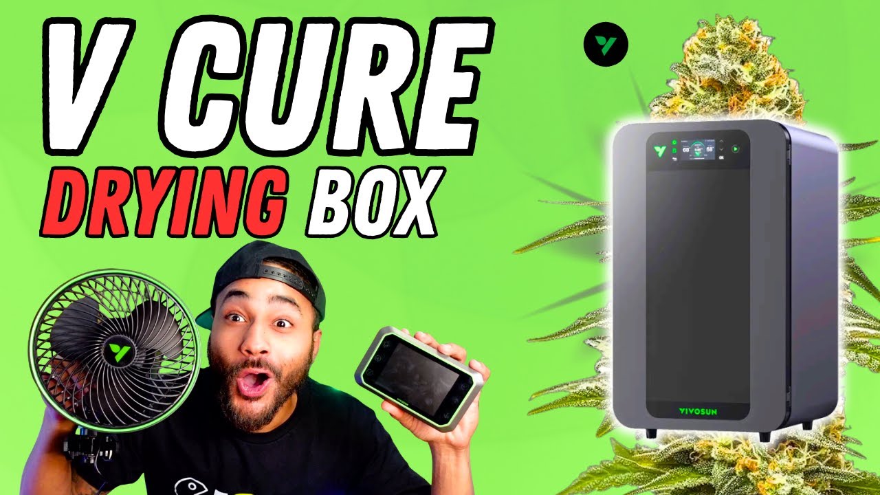 Vivosun VCure Smart Drying & Curing Box (FULL REVIEW!)