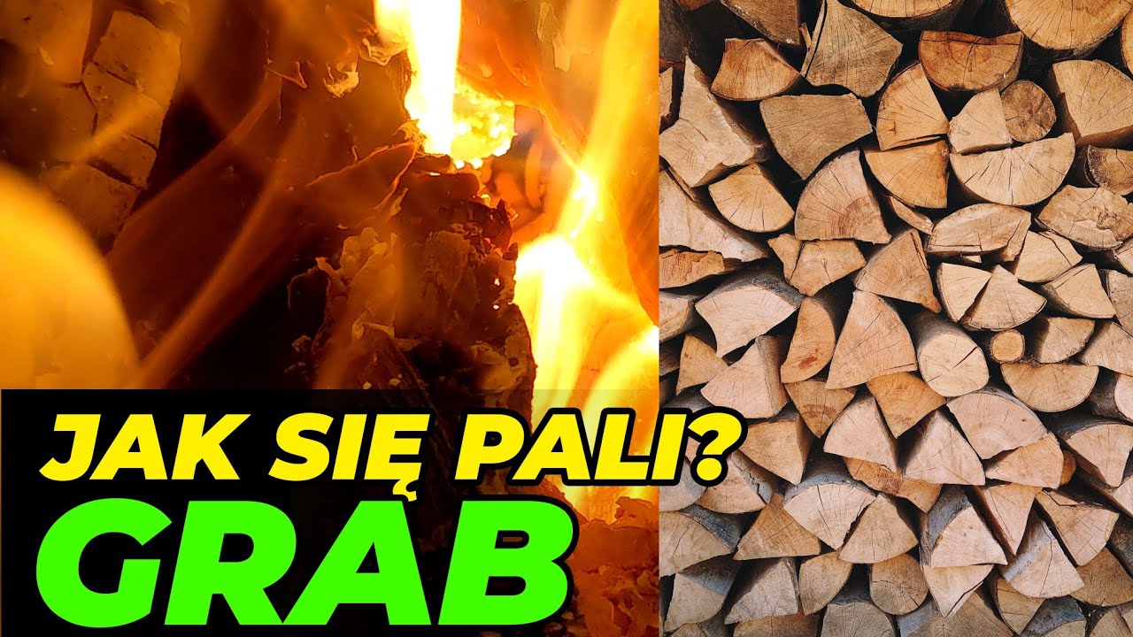 🔥 Jak się pali grab! 🌳 Sprawdzamy ❗🌳