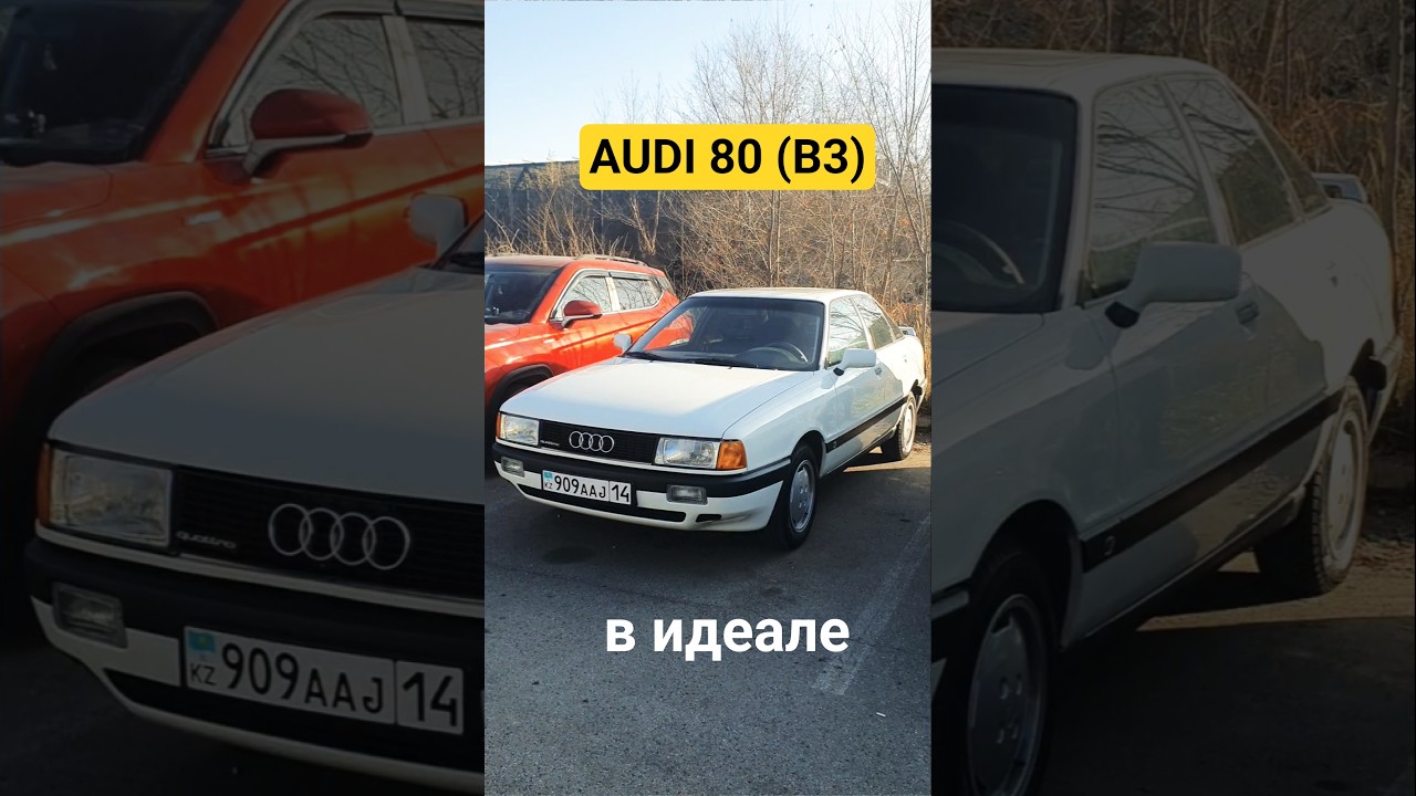 #Audi80