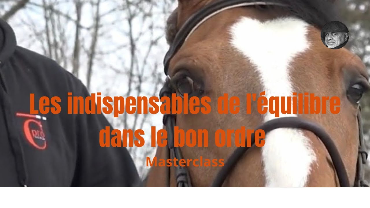 Maîtriser l'Équilibre et le bon Contact avec CHEVAL. 