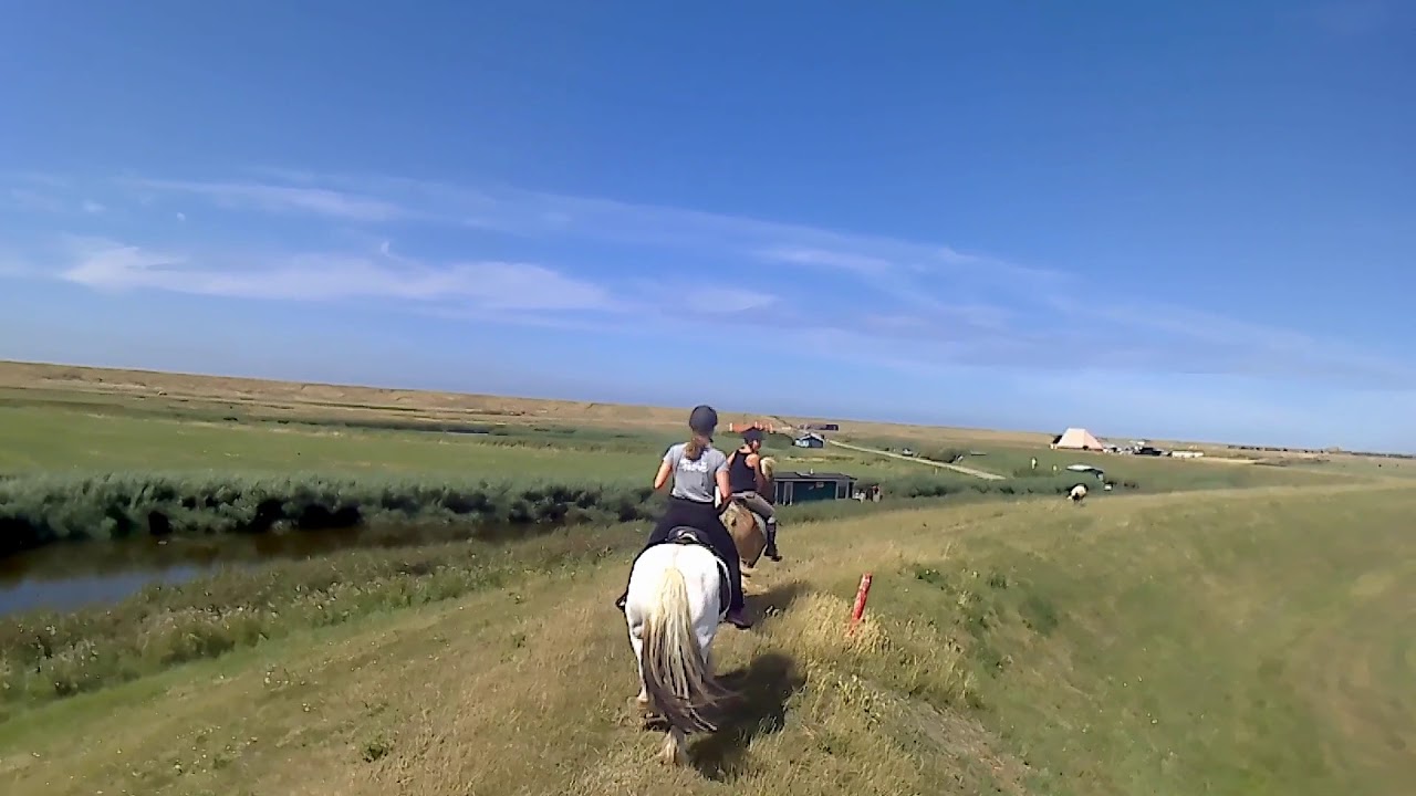 Strandrit te paard omgeving Schoorl/Petten
