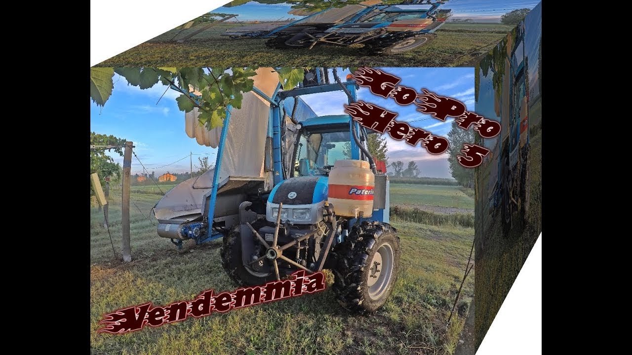 Vendemmia/combina de cules struguri/Vendage/grape harvest/cosecha de uva (2017-2018 With Paterlini)