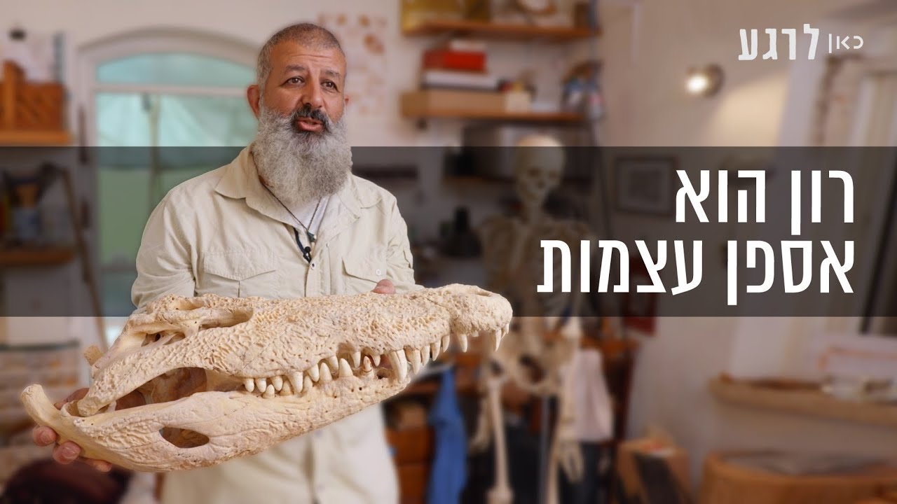 רון הופך עצמות של בעלי חיים ליצירות אמנות | כאן לרגע