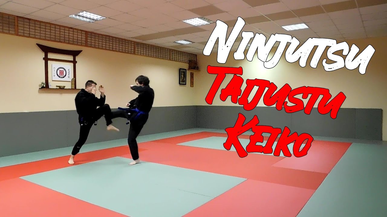 Ninjutsu - Taijutsu Keiko - Pusztakezes technikák gyakorlása 🤜🤛