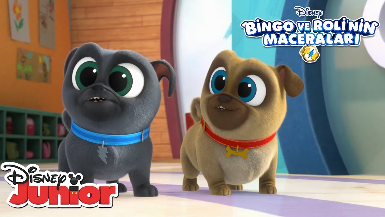 Venedik'te Görev Zamanı! | Bingo ve Roli'nin Maceraları | 